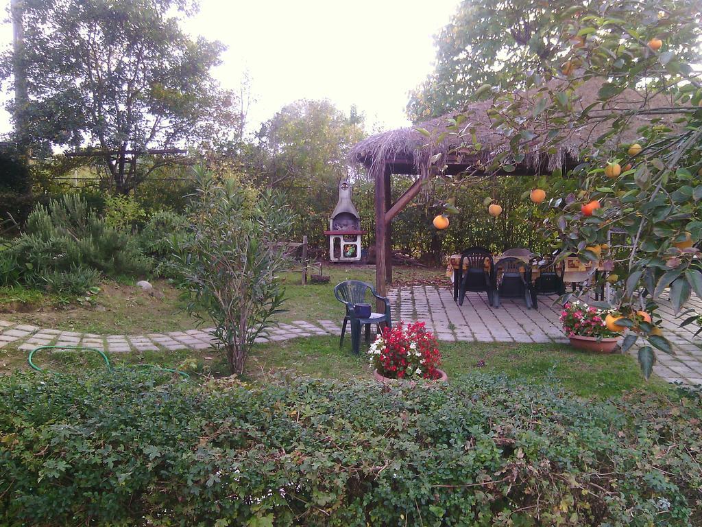 Agriturismo Artisti Del Cavallo Arezzo Eksteriør billede
