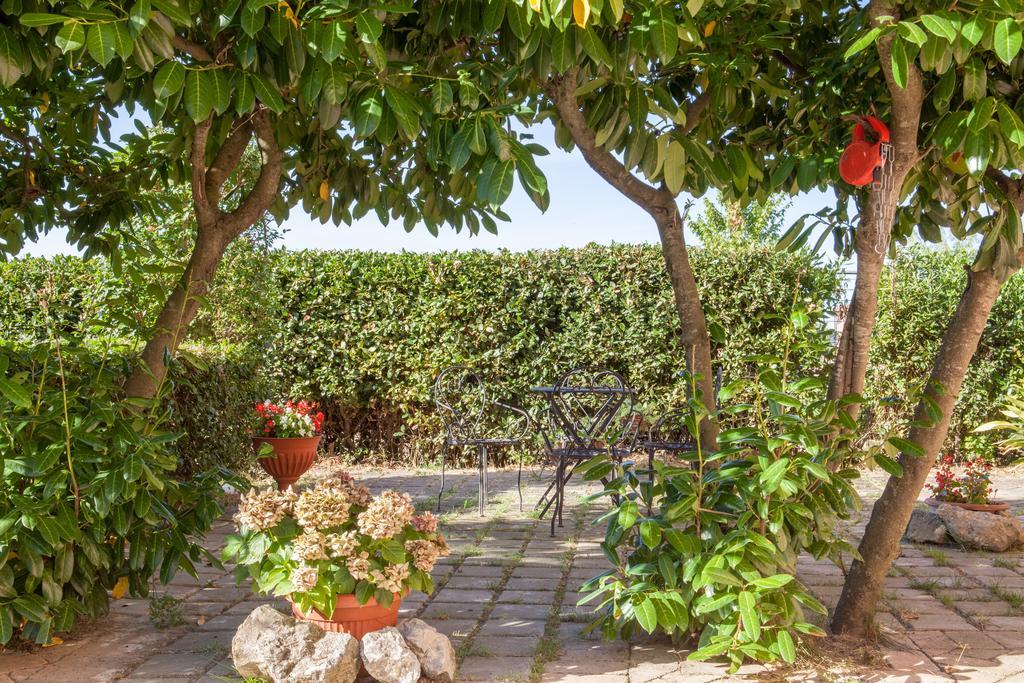 Agriturismo Artisti Del Cavallo Arezzo Eksteriør billede